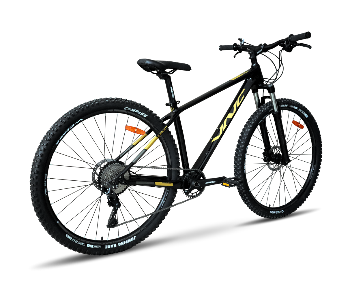 Велосипед VNC FastRider Sport Air 29" L/19" (V1C9A-2948-BG) Black/Gold