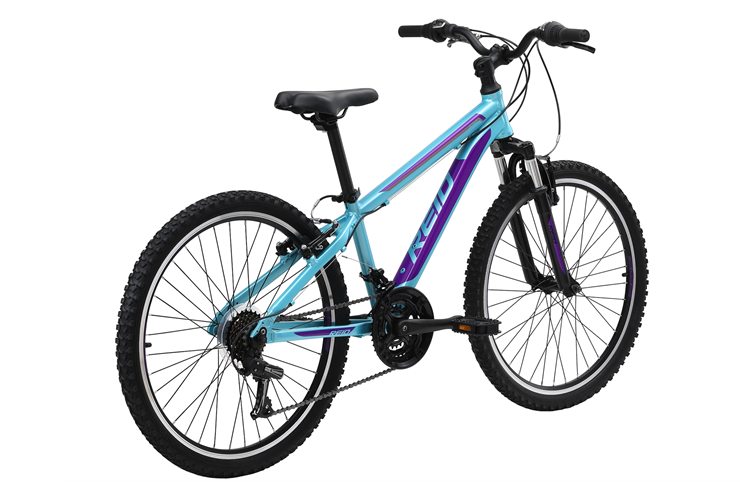 Велосипед Reid Sсоut 24" Turquoise